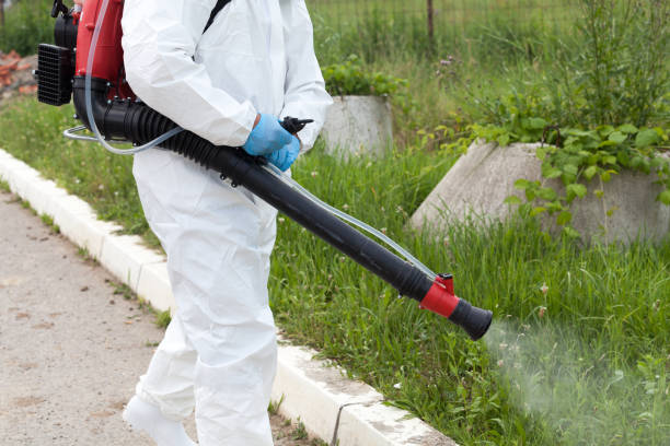 mosquito season New Jersey
