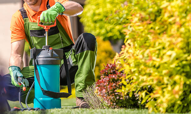 tick pest control