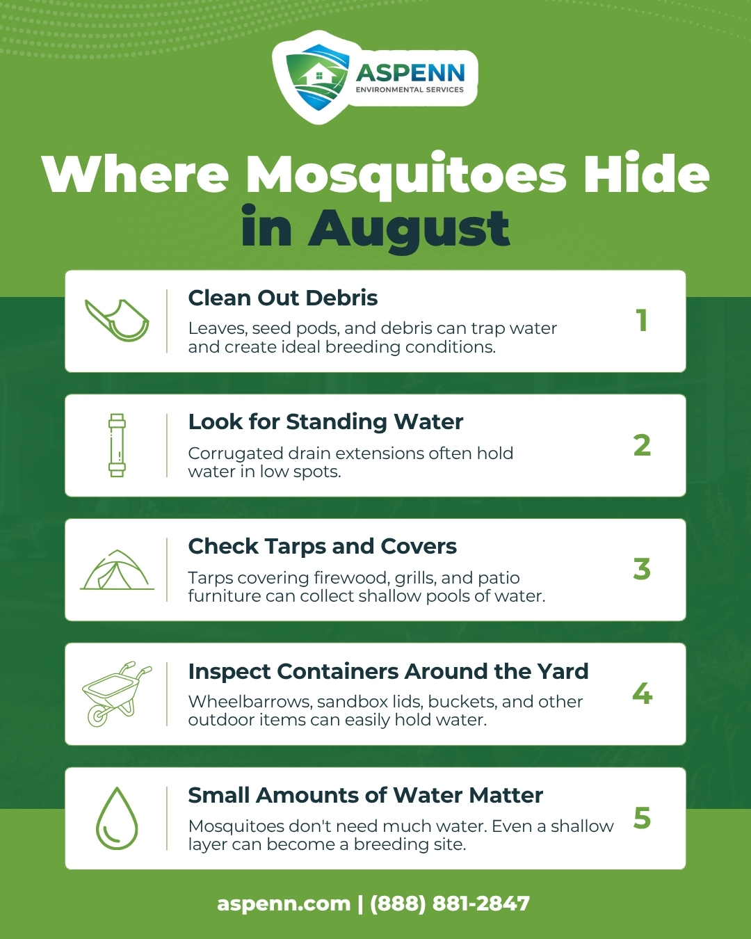 5 ways mosquitoes hide in August with prevention tips