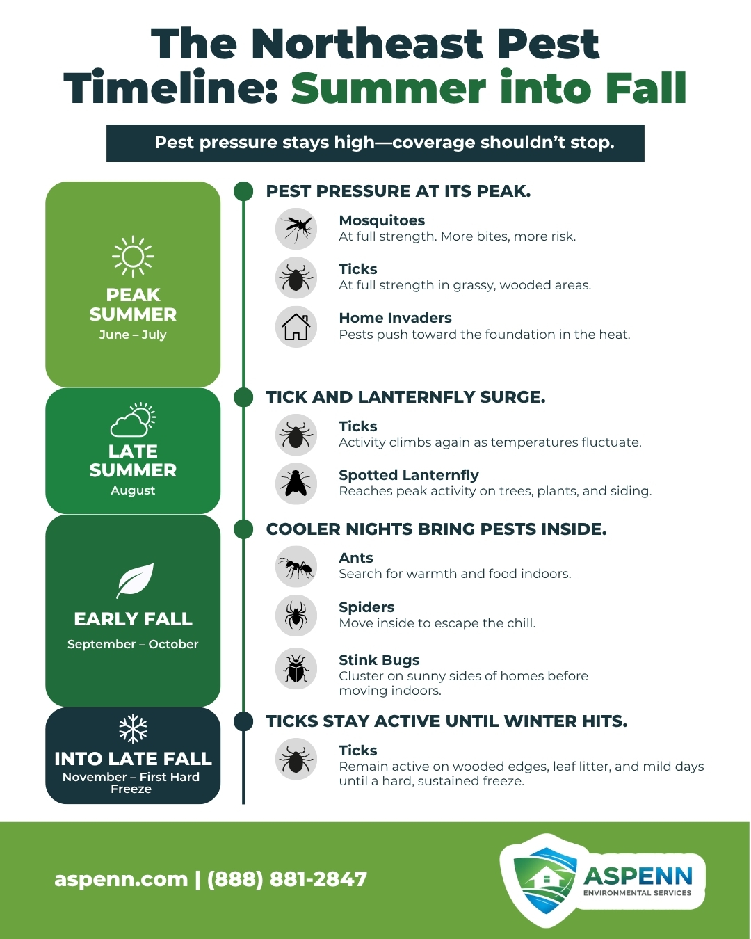 Northeast pest activity timeline summer to fall