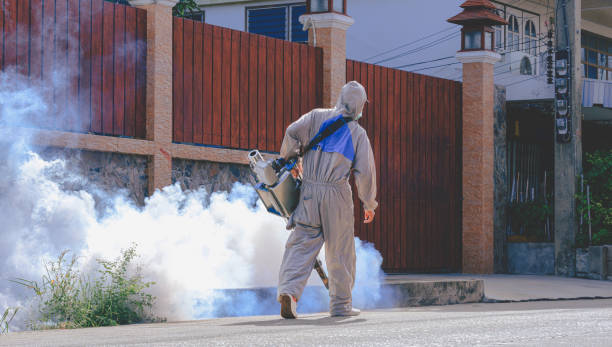 Pest control worker spraying insecticide fog on street
