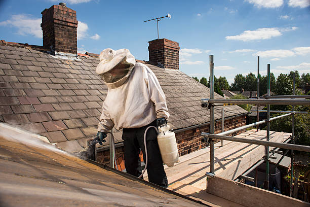 Pest control technician in a protective suit treating a wasp nest on a roof